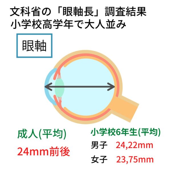 眼軸長大人並み